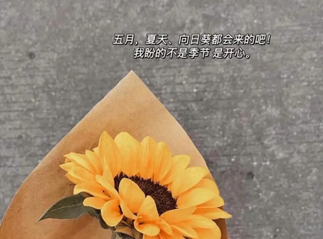 往后余生相伴的句子(图2)