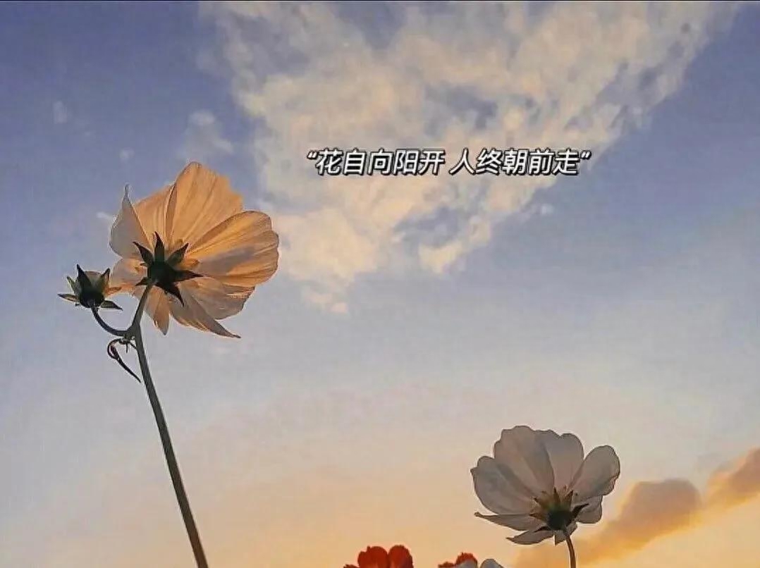 往后余生相伴的句子(图4)