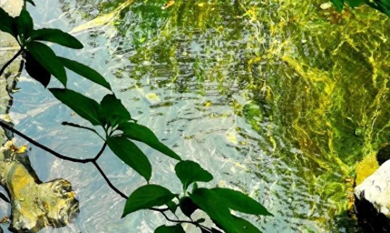 最让人舒心的10句话,值得一读!(图2) 最让人舒心的10句话,值得一读!(图2)