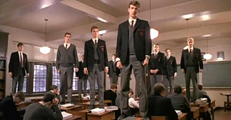 我是一只被囚禁的鸟，天边那抹晚霞，给了我飞向自由的翅膀(图1)