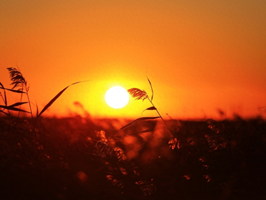 我是一只被囚禁的鸟，天边那抹晚霞，给了我飞向自由的翅膀(图3)