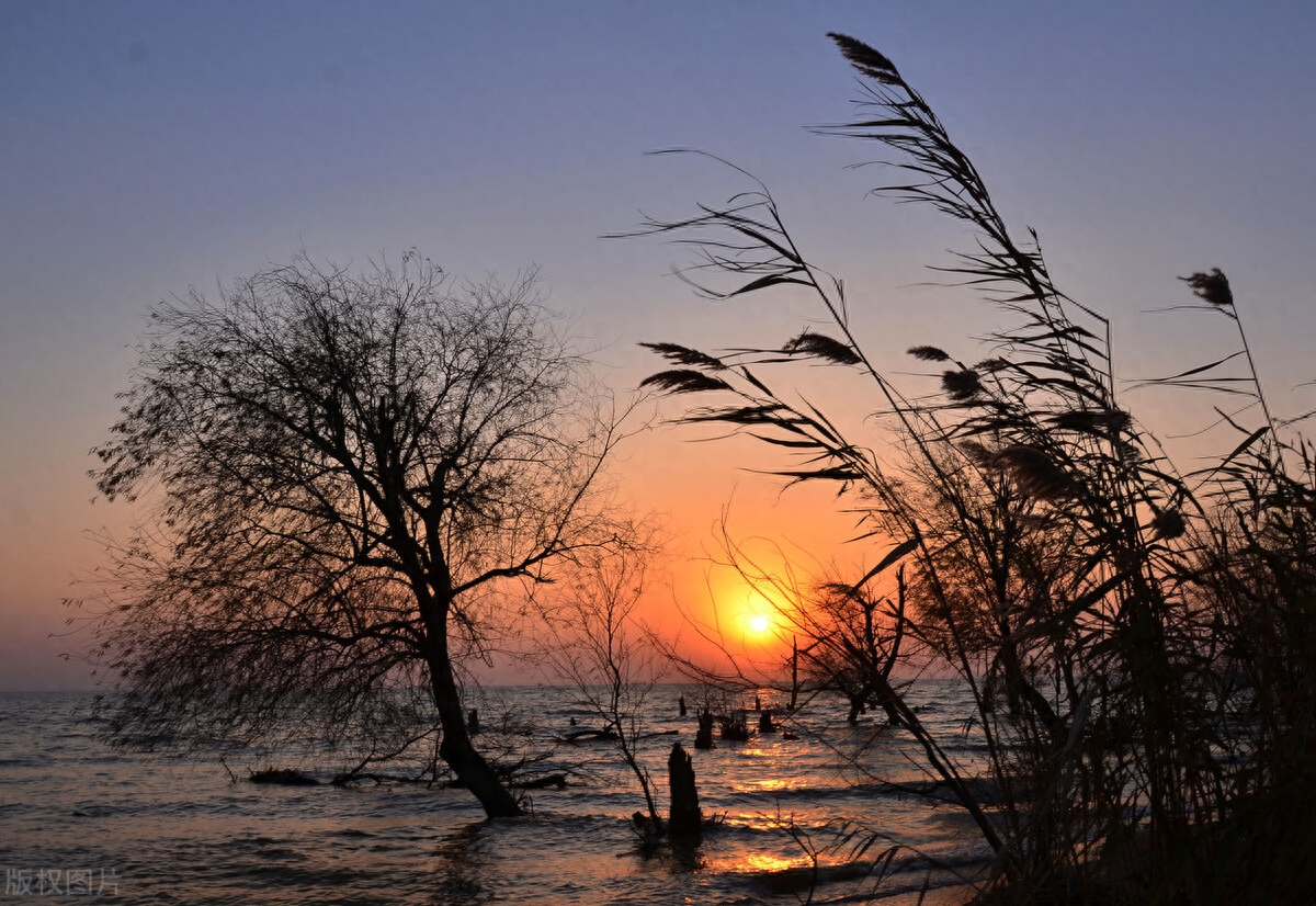 我是一只被囚禁的鸟，天边那抹晚霞，给了我飞向自由的翅膀(图4)