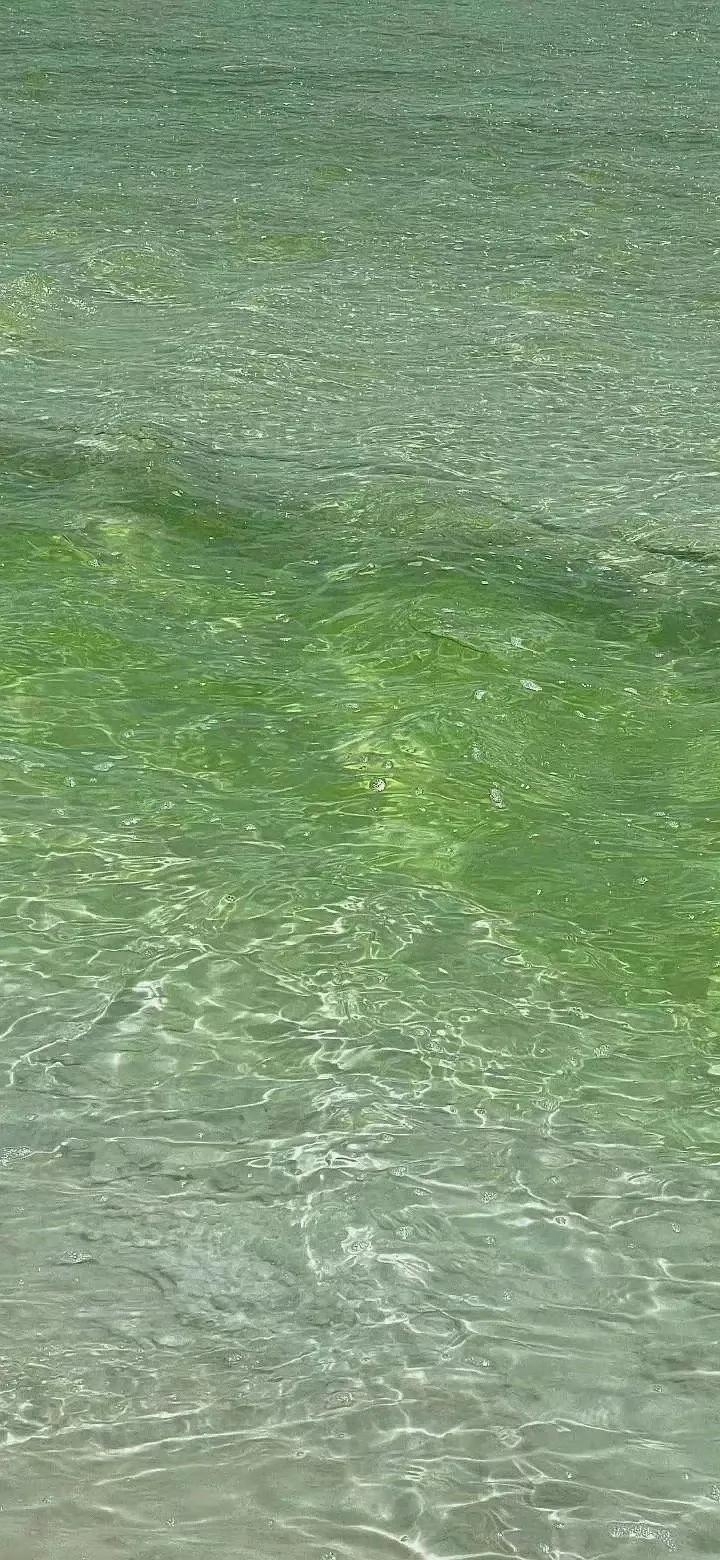 适合去海边玩发朋友圈的文案(图2)