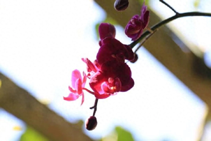 抖音很火的句子 人无所舍，必无所成；心无所依，必无所获。(图2)