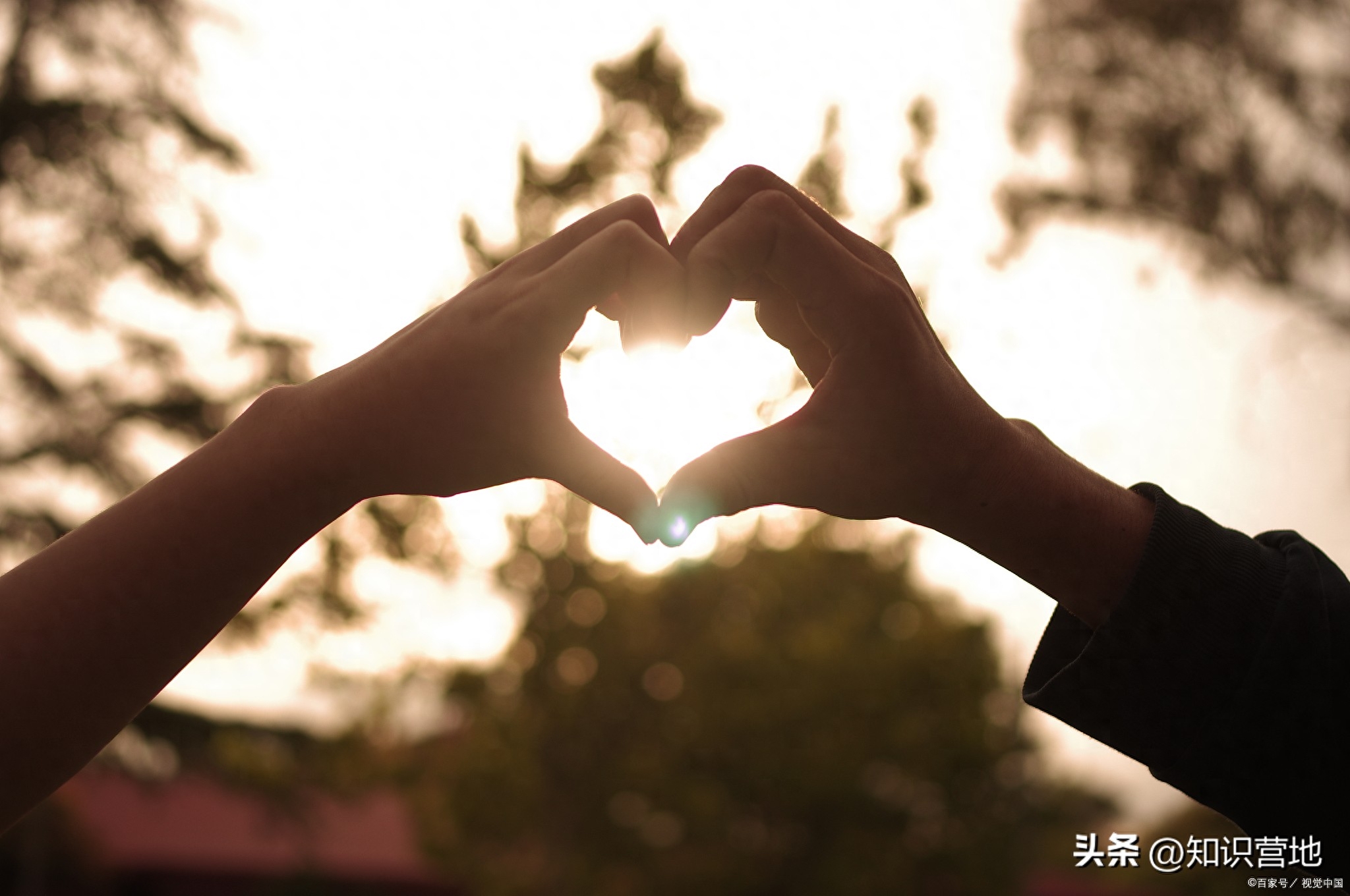 数字爱情的魔力：探索520情人节的神奇之处！(图3)