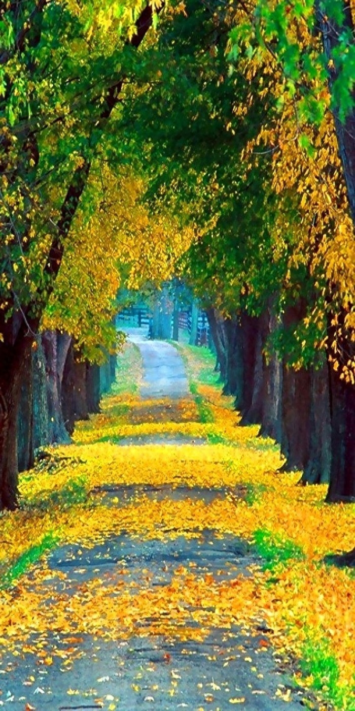 岁月安好，时光荏苒，唯美情怀，如诗如画，赋予初见！(图1)