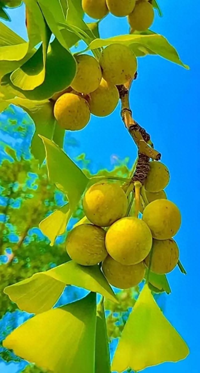 岁月安好，时光荏苒，唯美情怀，如诗如画，赋予初见！(图3)