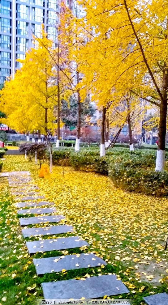 岁月安好，时光荏苒，唯美情怀，如诗如画，赋予初见！(图5)