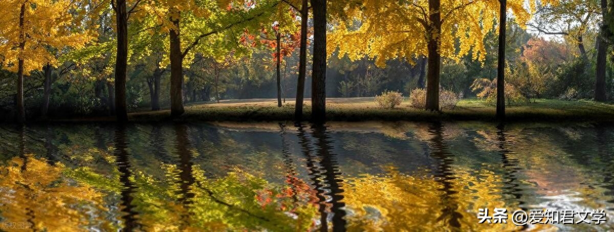 秋深最美是遇见，怀念那无法重来的青春(图1)