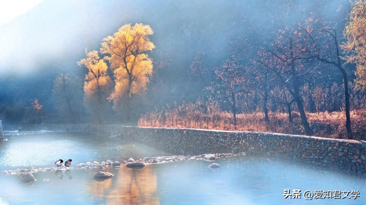 秋深最美是遇见，怀念那无法重来的青春(图5)