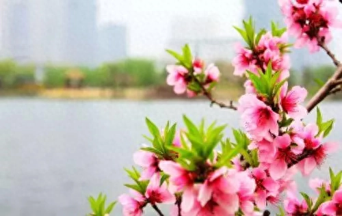 不开心也要过，不如开开心心过好每一天，早安！(图3)