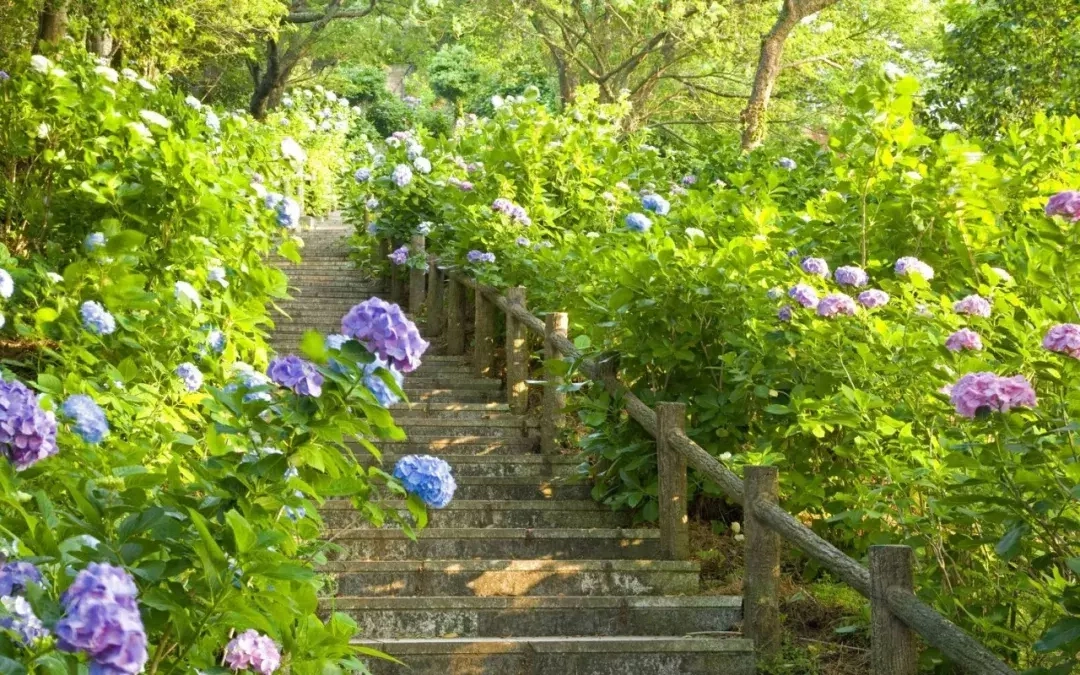 不开心也要过，不如开开心心过好每一天，早安！(图5)