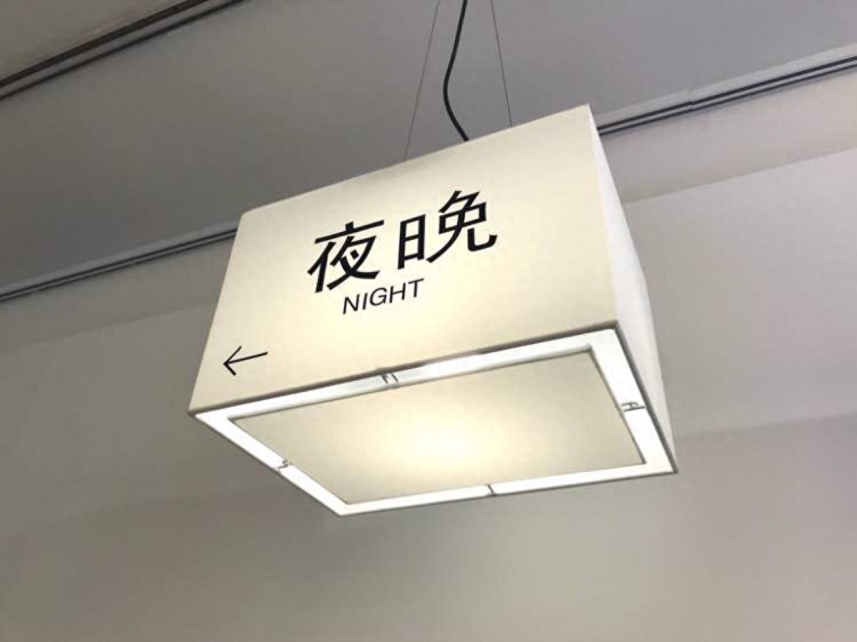 50句适合发说说的沙雕可爱文案？(图3)