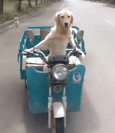 一些有点“大病”的朋友圈搞笑沙雕文案.合集.(图7)