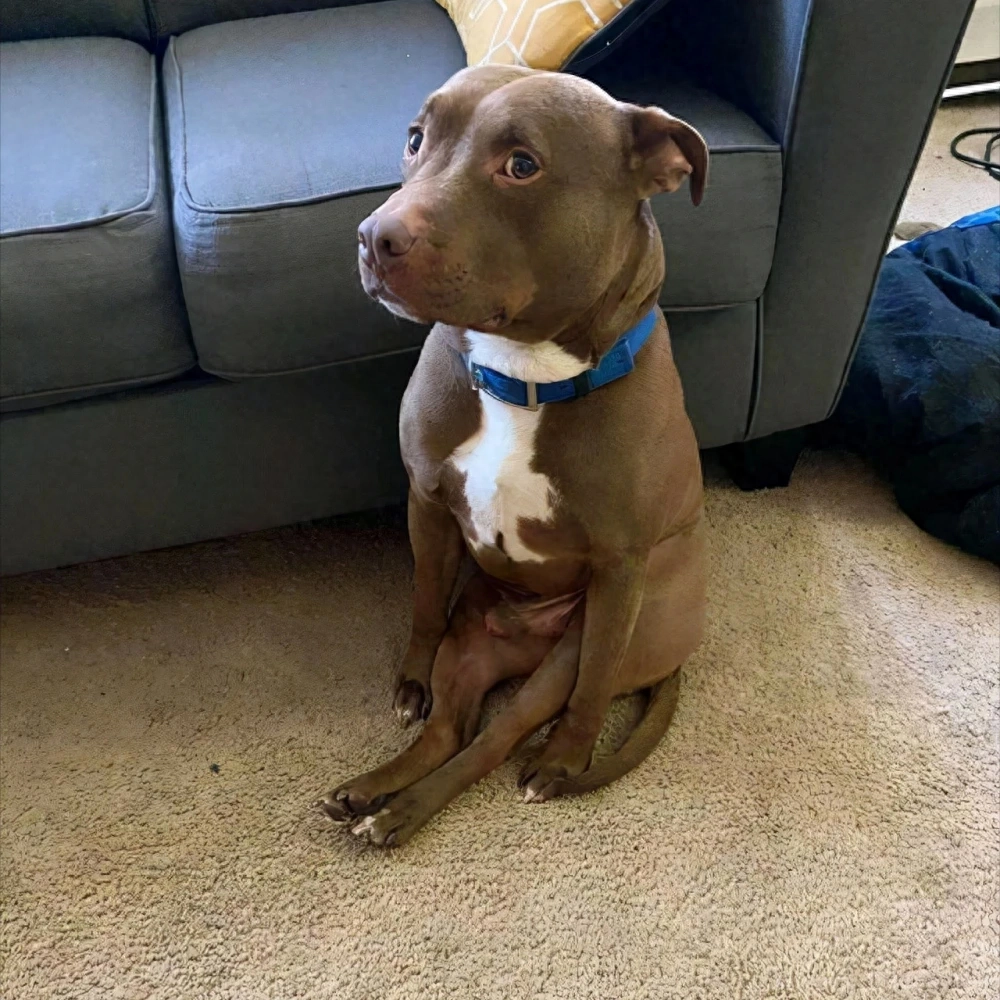 一些有点“大病”的朋友圈搞笑沙雕文案.合集.(图31)