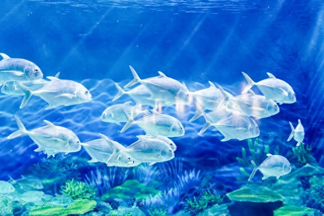 蔚蓝色大海的极致温柔文案｜“自带滤镜的秋，海是可触碰的蓝天”(图2)