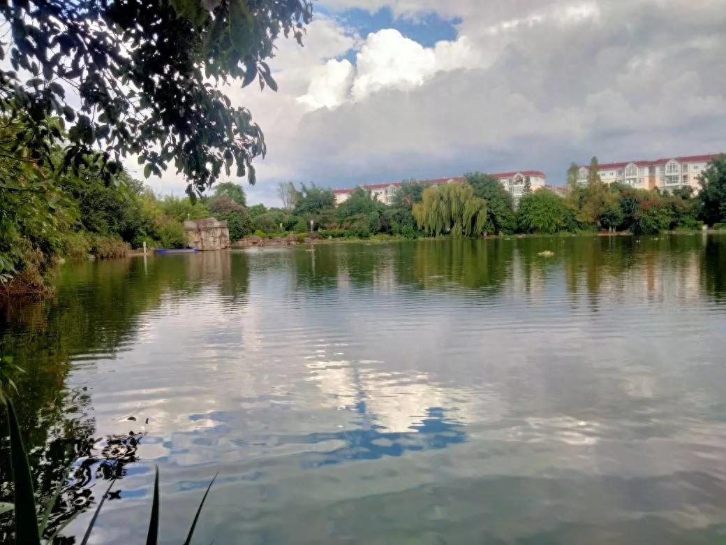 名家之言：诺贝尔奖获得者英国罗素的养生名句(图10)