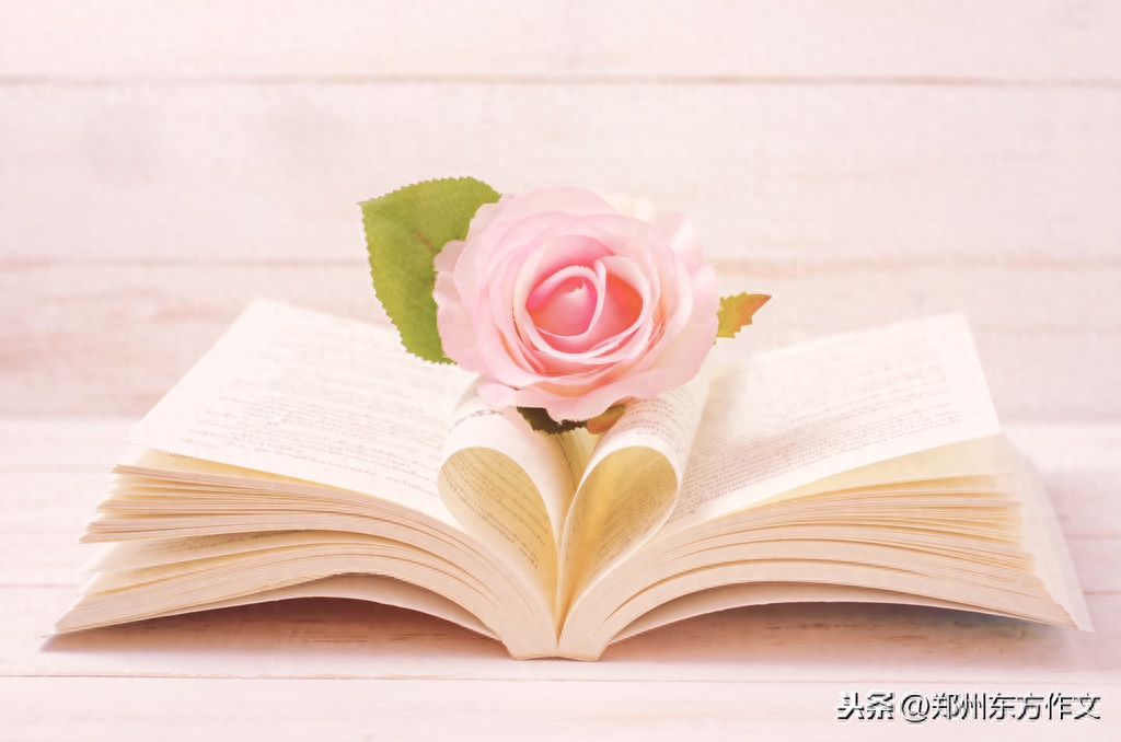 小学常用名言名句、谚语古诗词积累，早晚用得着，收藏起来吧(图4)