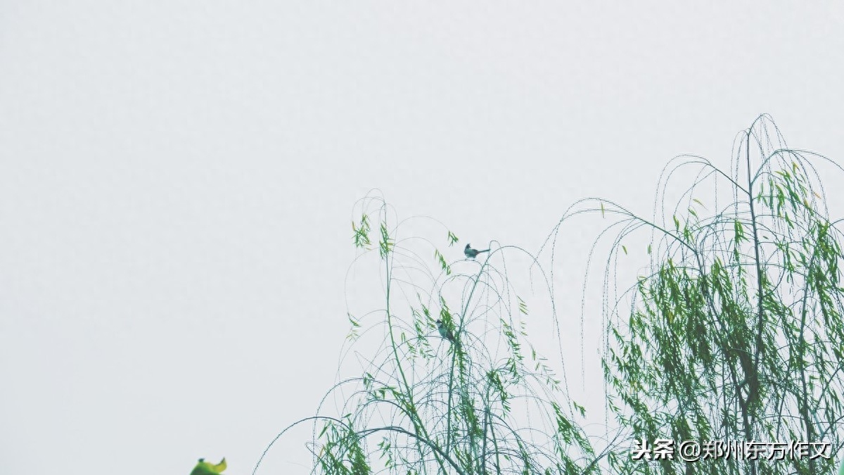 小学常用名言名句、谚语古诗词积累，早晚用得着，收藏起来吧(图6)