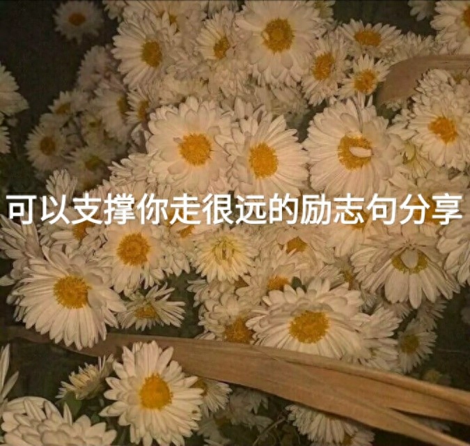 可以支撑你走很远的励志句分享(图1)