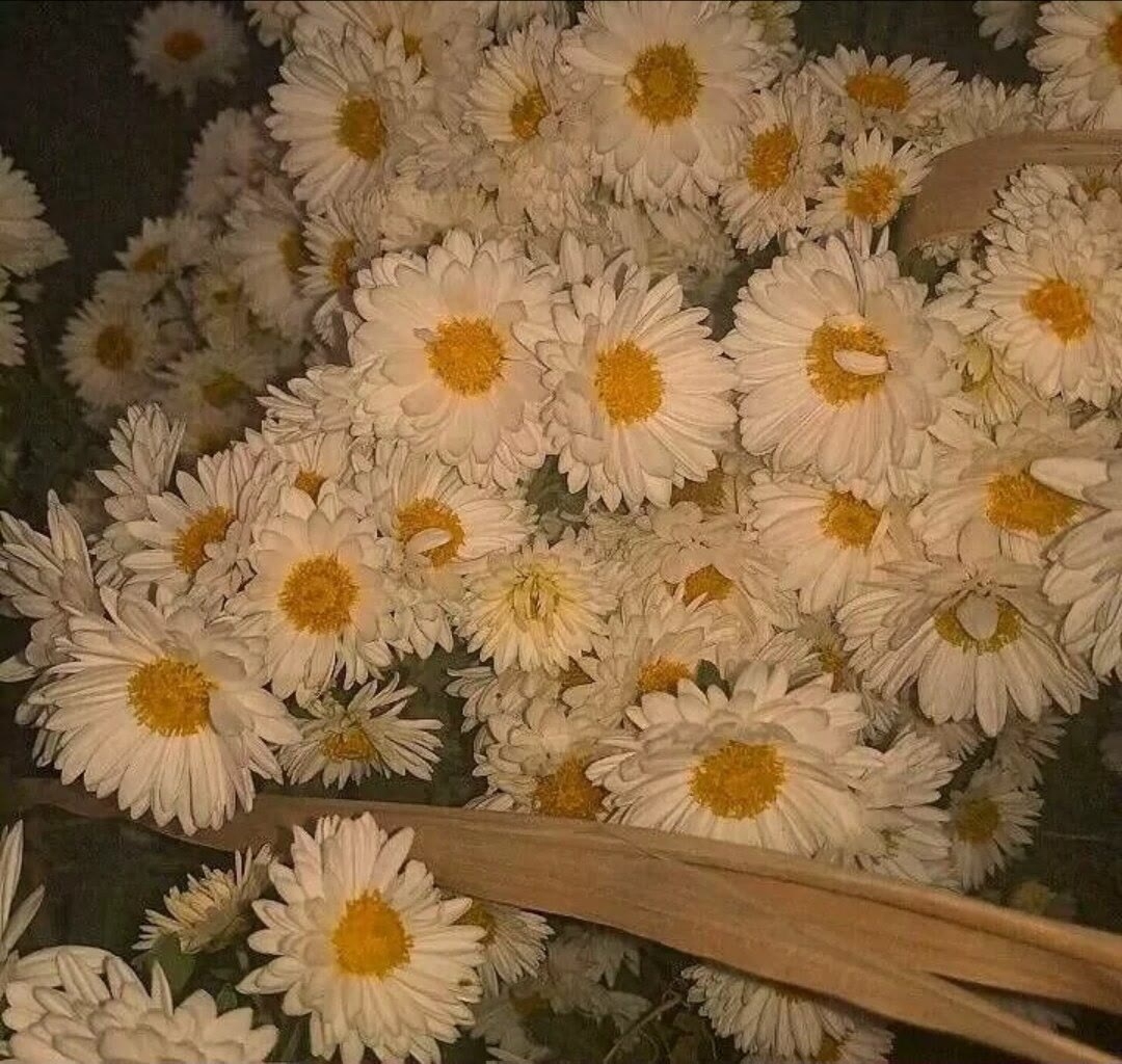 可以支撑你走很远的励志句分享(图11)