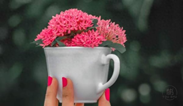 10首经典诗词，初读只觉惊艳，再读已懂人生(图2)