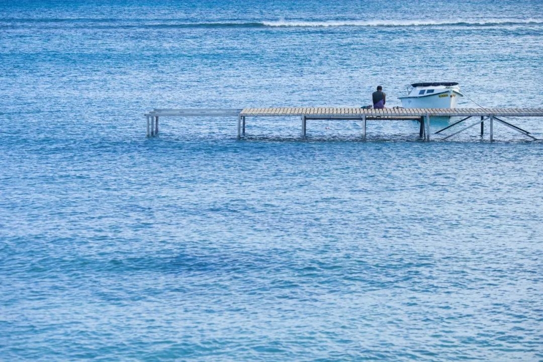 《唐诗三百首》中最哲理的10句唐诗，一首一个道理，看完醍醐灌顶(图4)