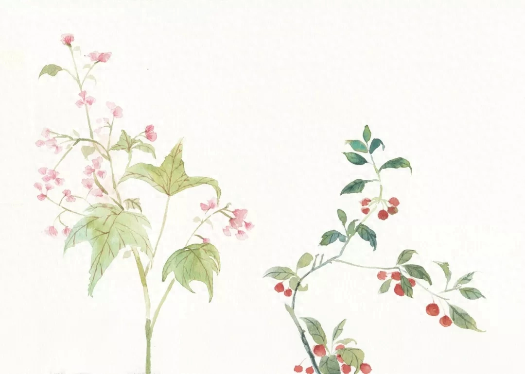 50句诗，说尽人生中的遗憾(图2)