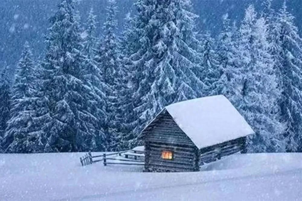 时光不待人，一步一清浅，惊艳了岁月，唯美了曾经(图4)