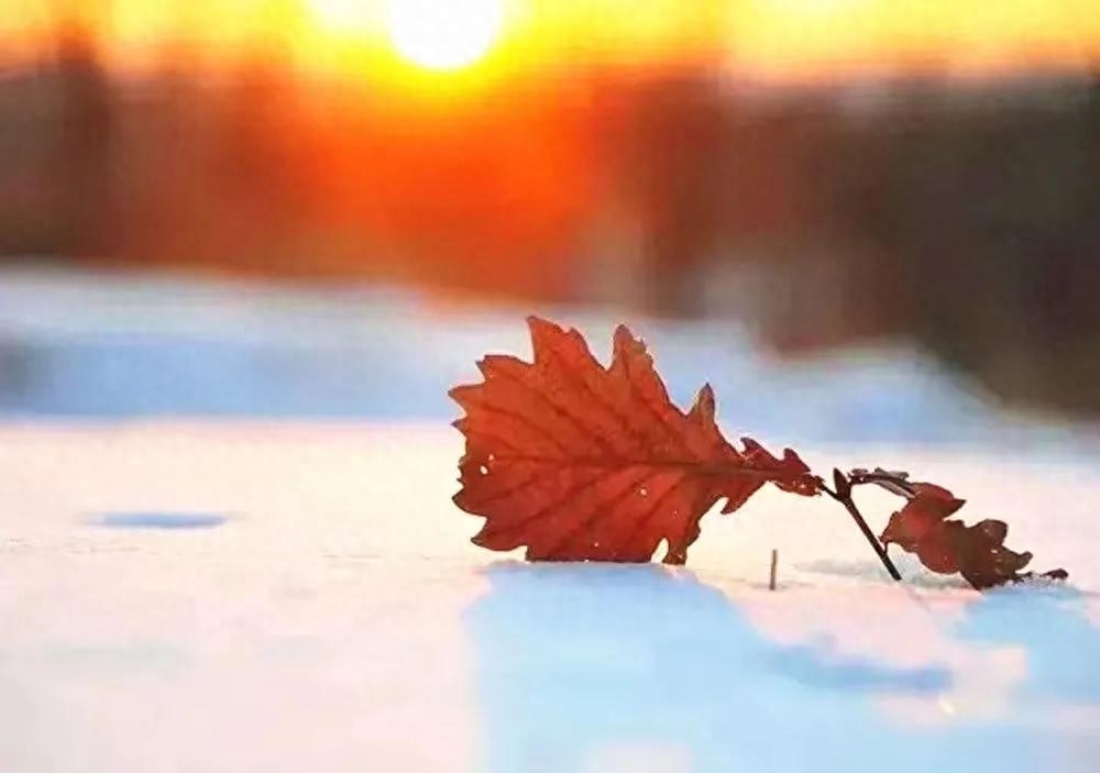 时光不待人，一步一清浅，惊艳了岁月，唯美了曾经(图6)