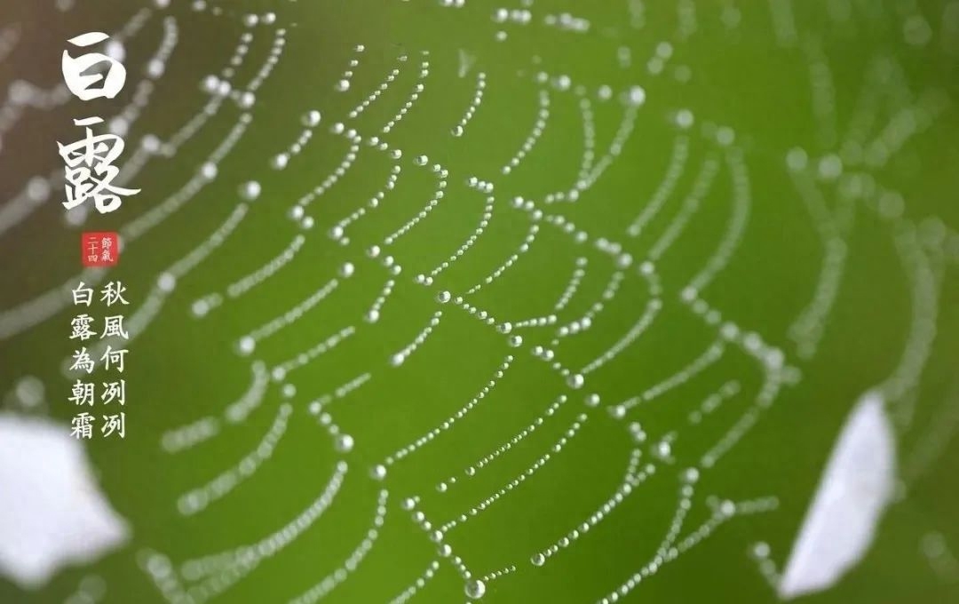 九月，你好！与你共赏人间最美清秋(图3)