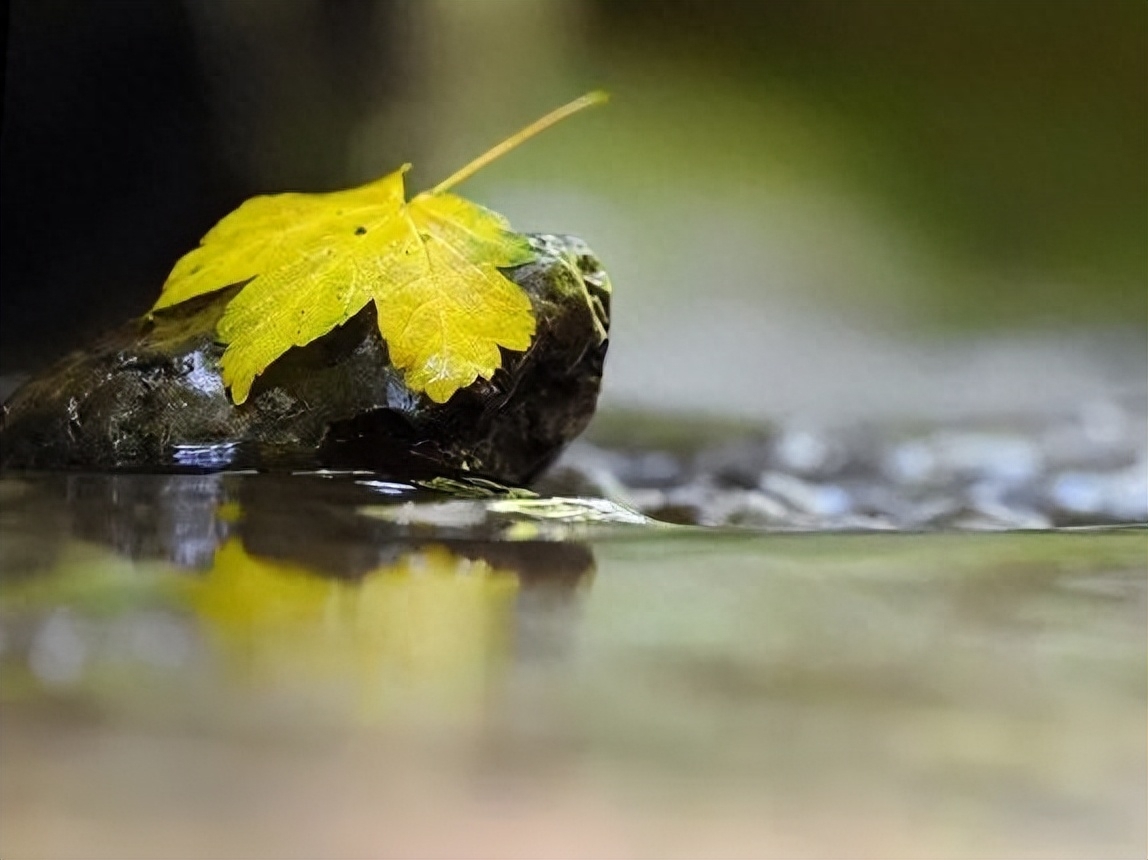 九月，你好！与你共赏人间最美清秋(图6)