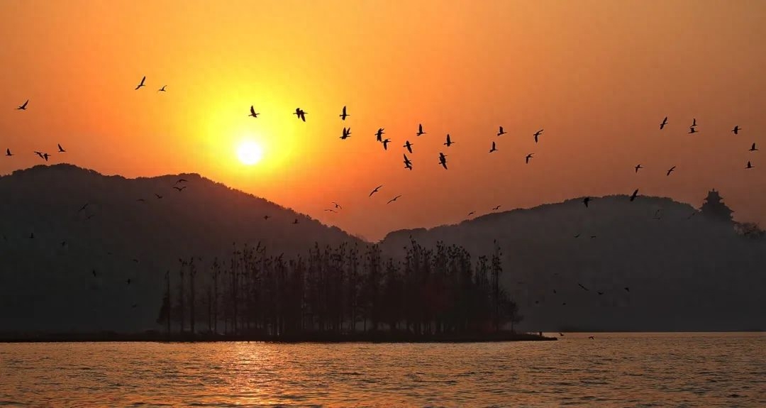 九月，你好！与你共赏人间最美清秋(图8)