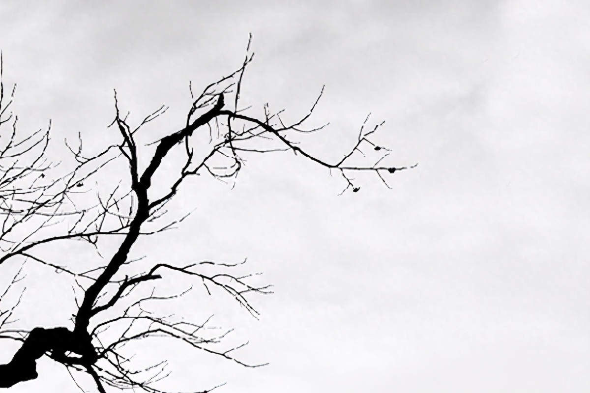 宋词巅峰之战，柳永苏轼晏殊各作一首《蝶恋花》，谁的意境更高？(图4)