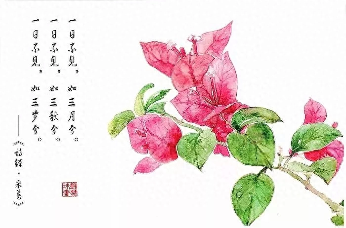 《诗经》精选30句：一言以蔽之，曰思无邪(图5)