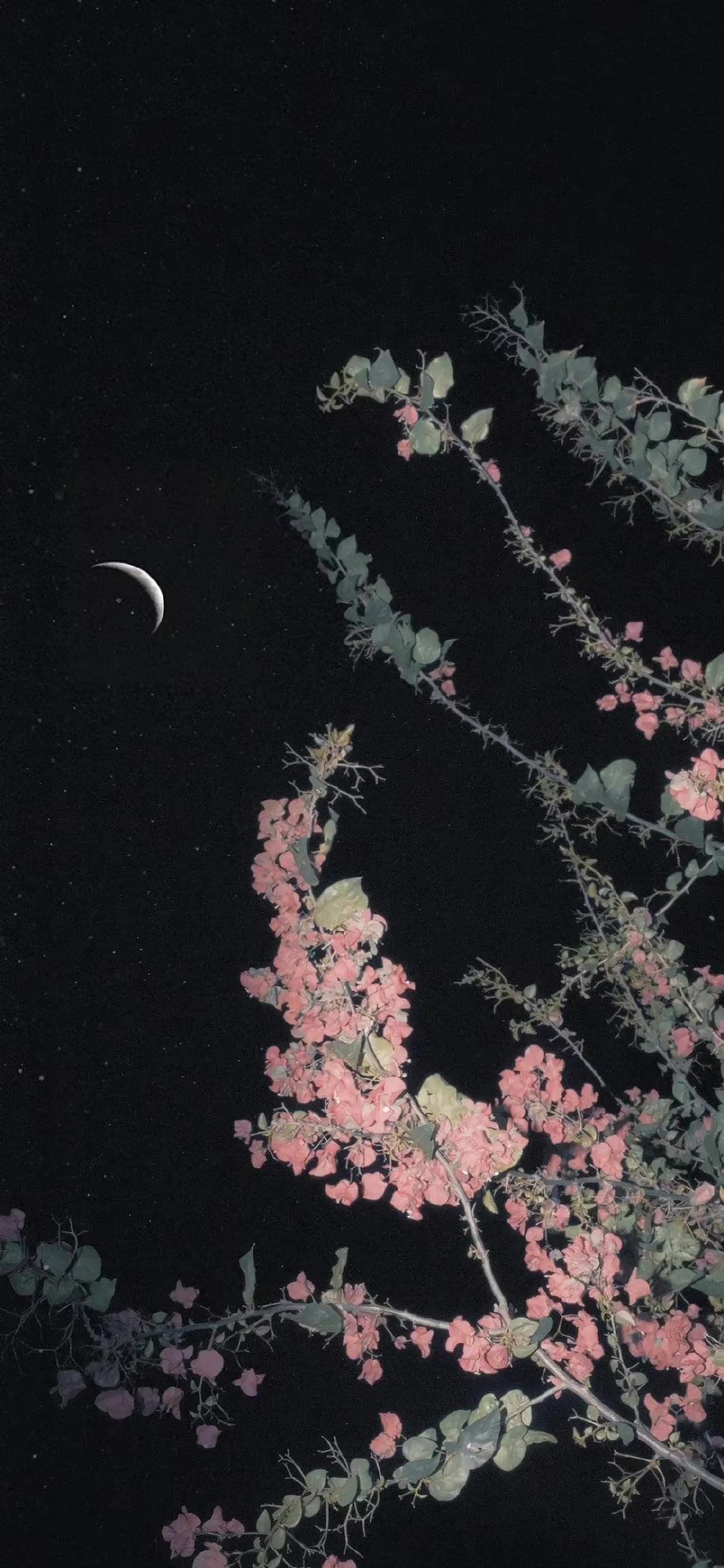 88句十月的美妙诗句，佳期在十月(图3)