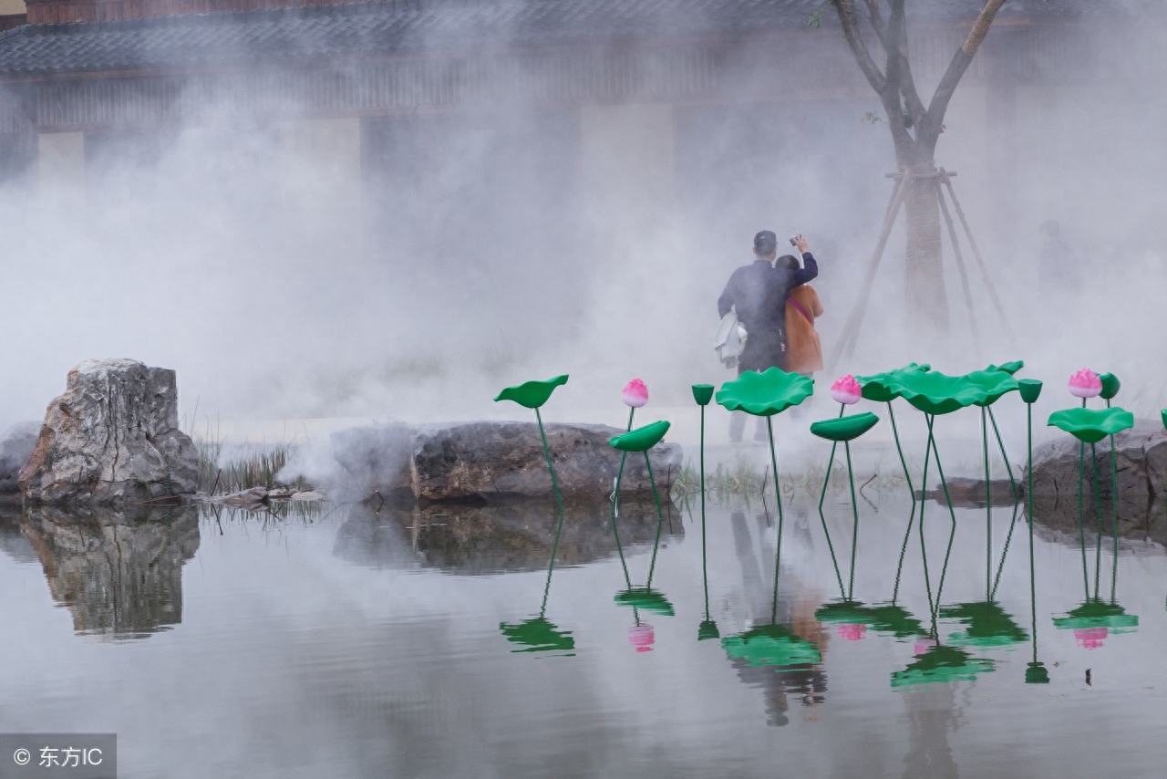 诗经字字皆动人，句句是人生！(图6)