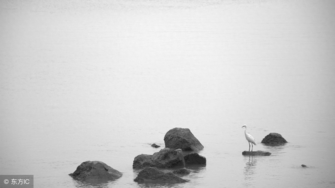 诗经字字皆动人，句句是人生！(图9)