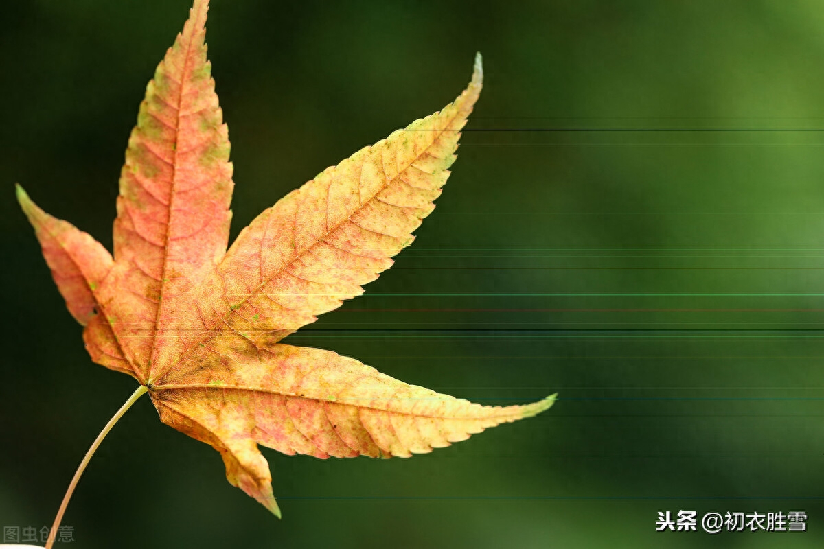 诗经里的初秋：七月流火，七月鸣鵙，七月在野，七月食瓜(图2)