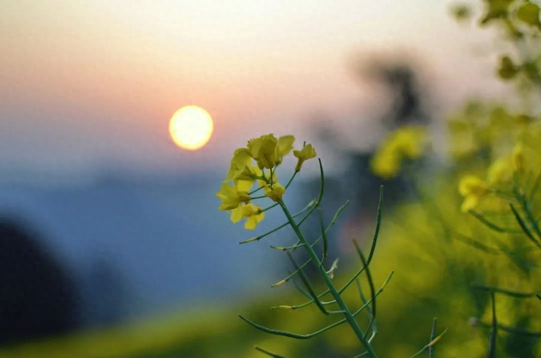 读懂《菜根谭》经典10句，人生豁然开朗(图4)