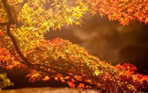 班级考试倒数了怎么办？(图2)