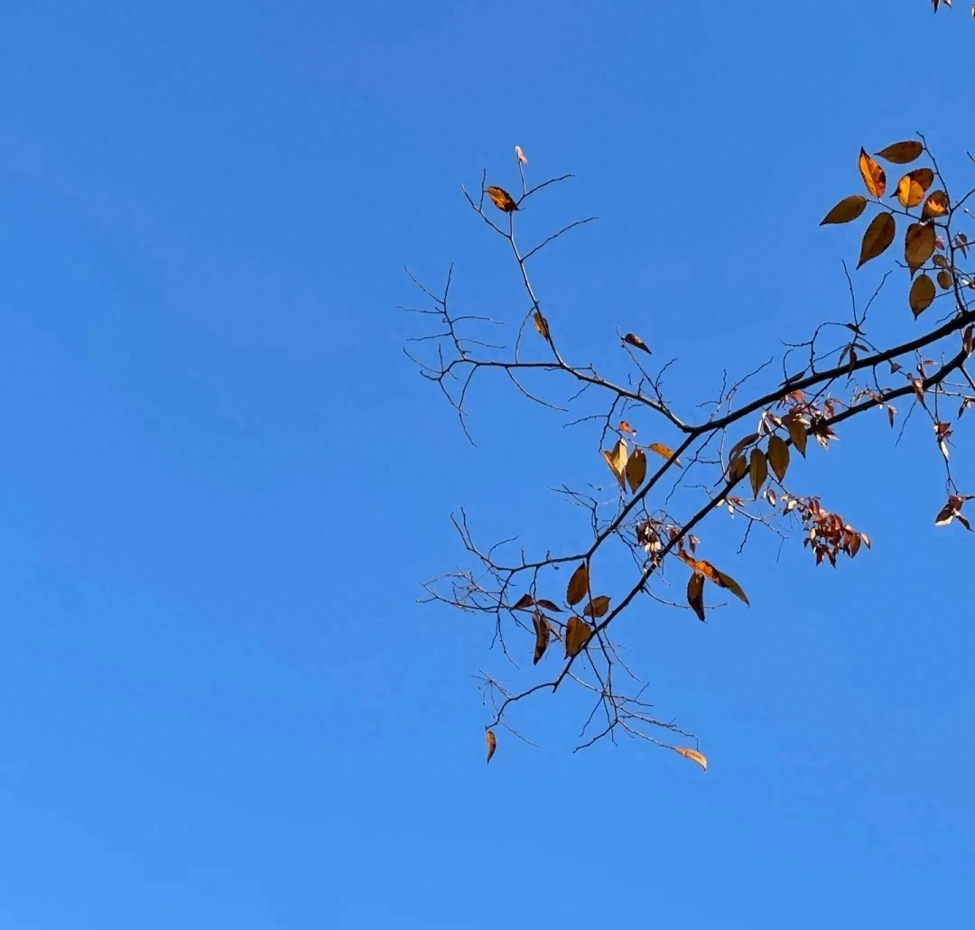 分享文案Ⅰ适合逛超市发的文案(图3)