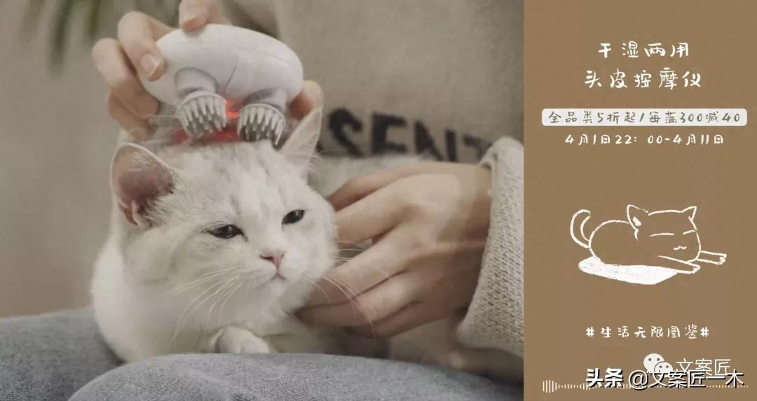 8句 春天里的卖货文案，舒服(图1)