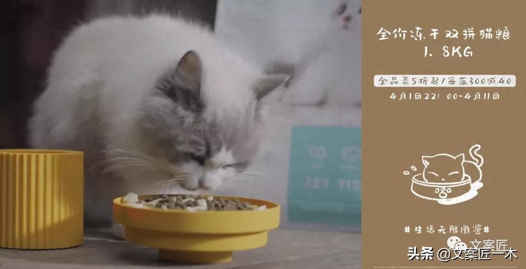 8句 春天里的卖货文案，舒服(图5)