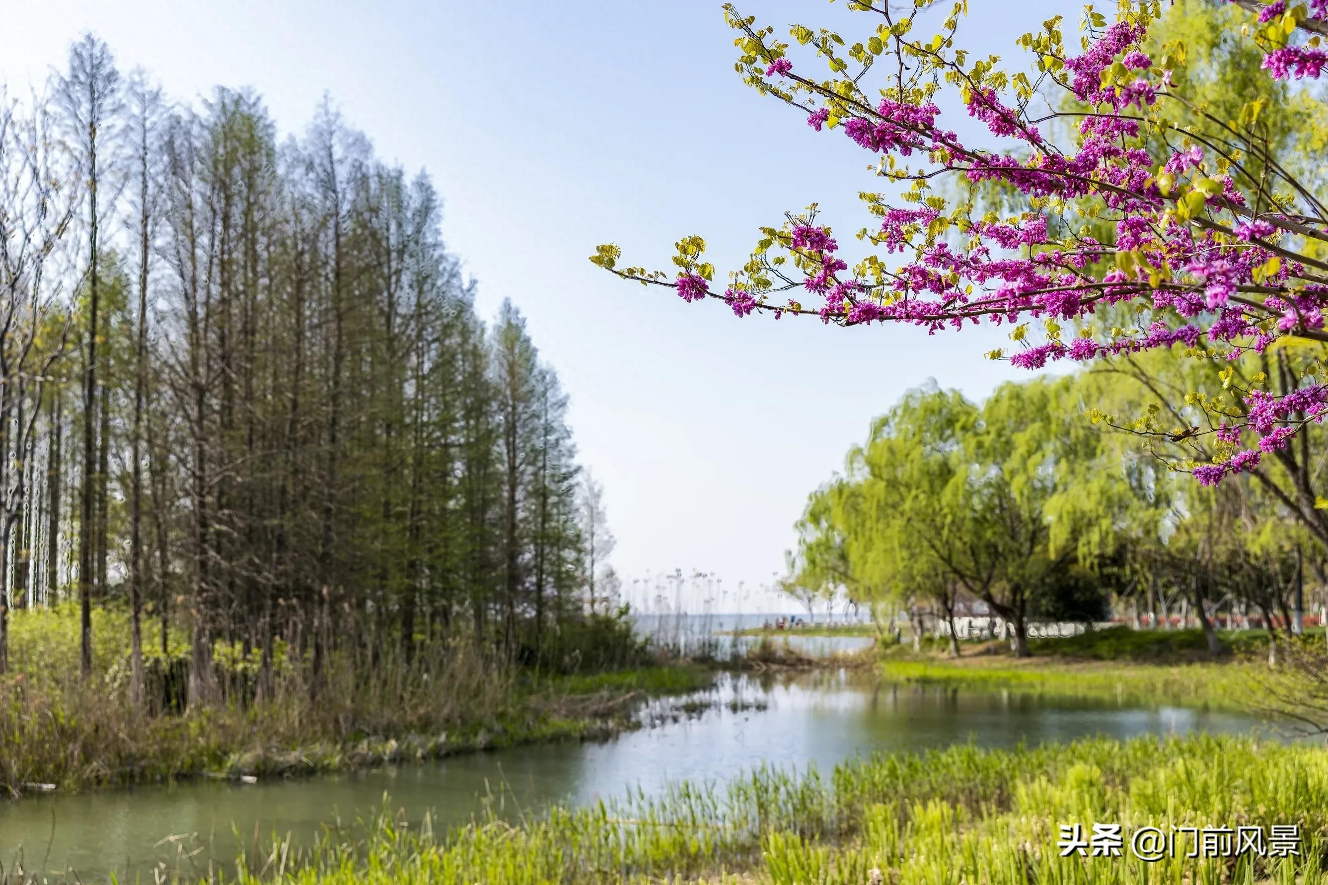 近处有风景，何须去远游(图1)