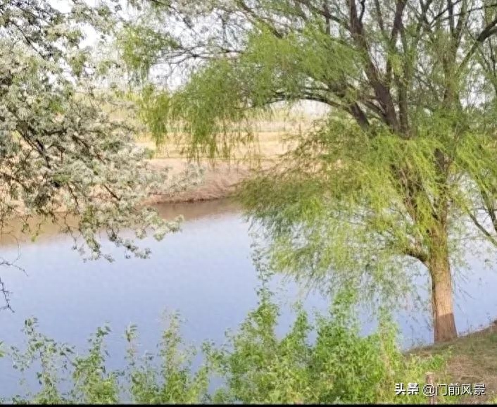 近处有风景，何须去远游(图2)