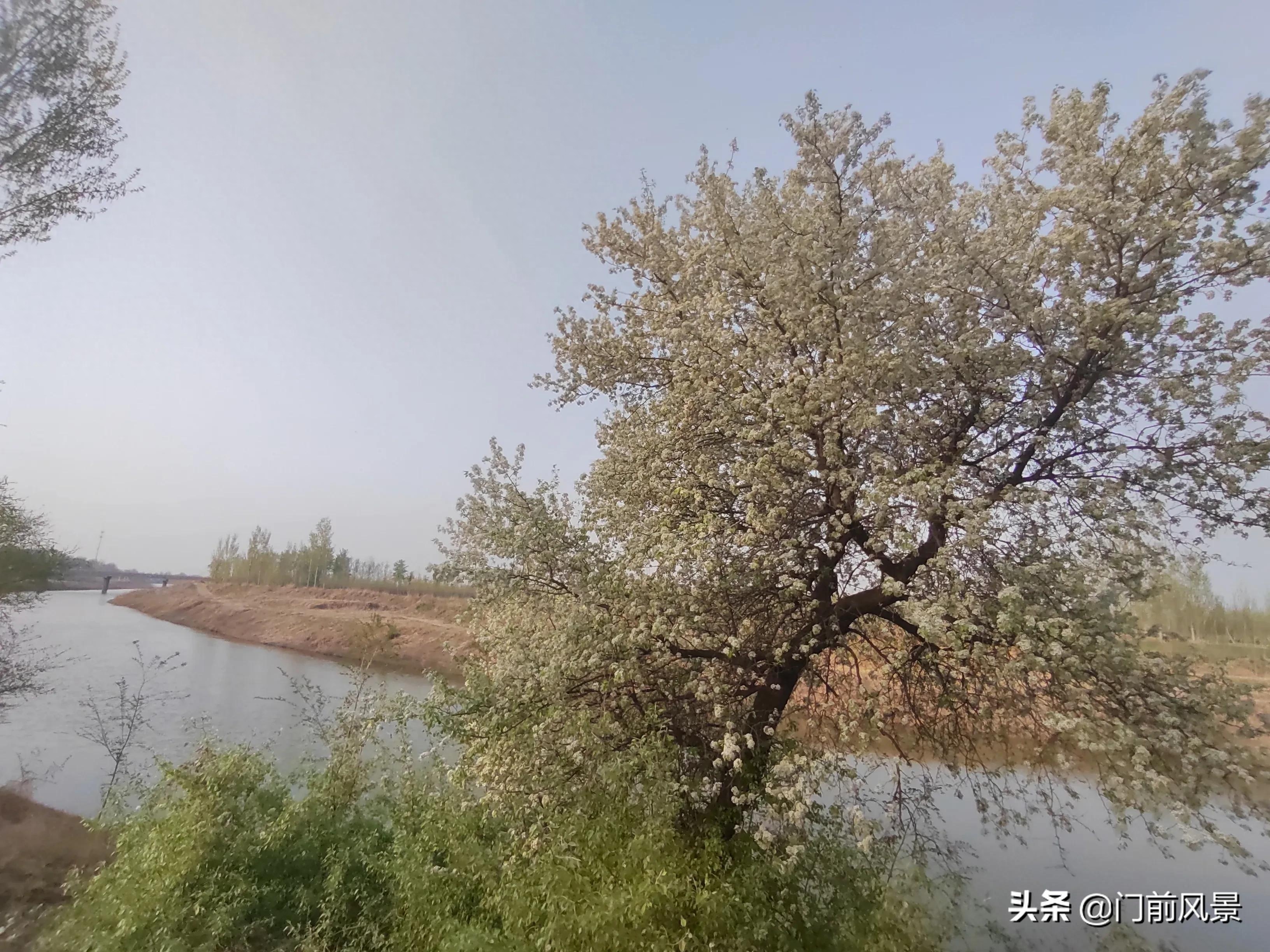 近处有风景，何须去远游(图7)