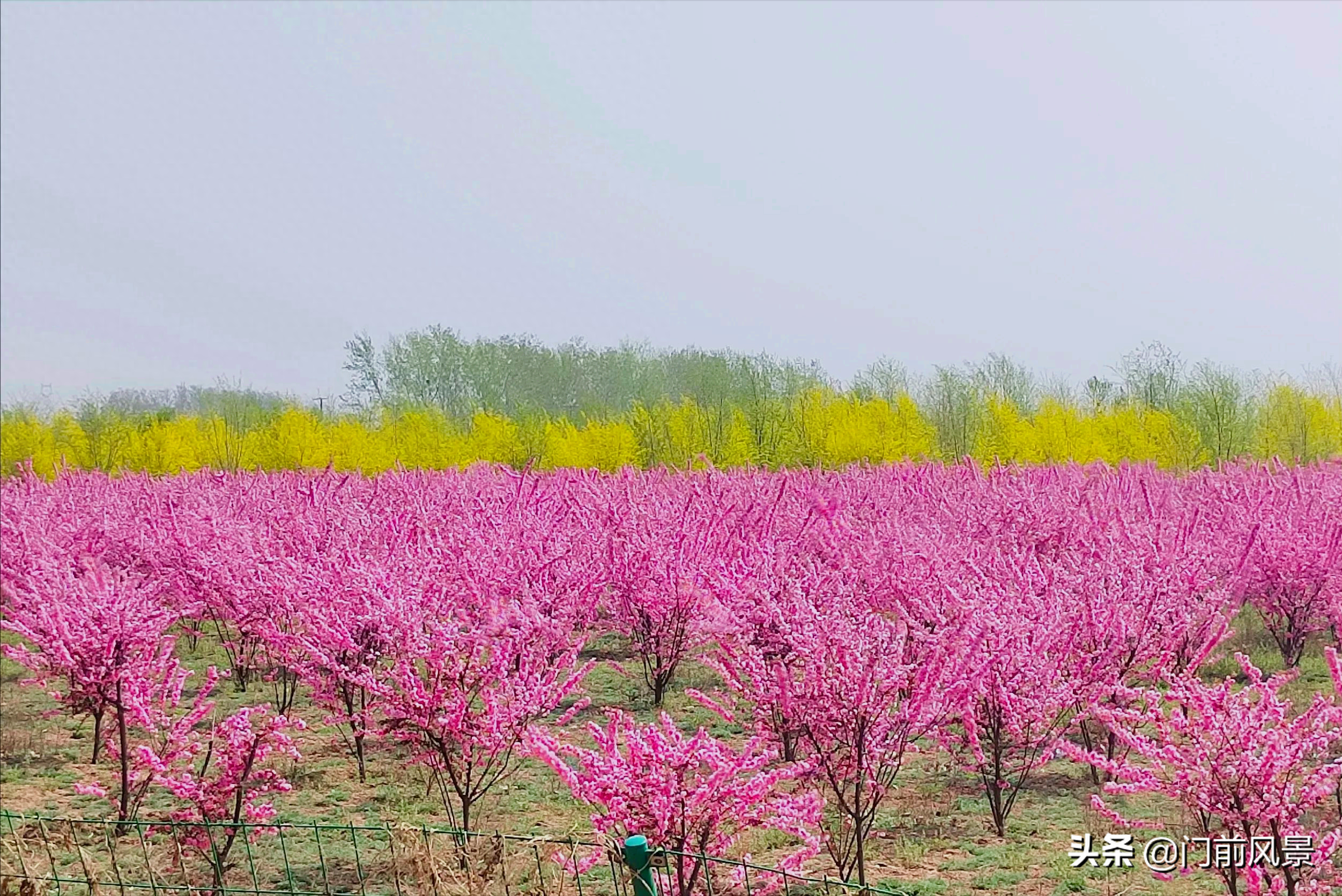 近处有风景，何须去远游(图9)