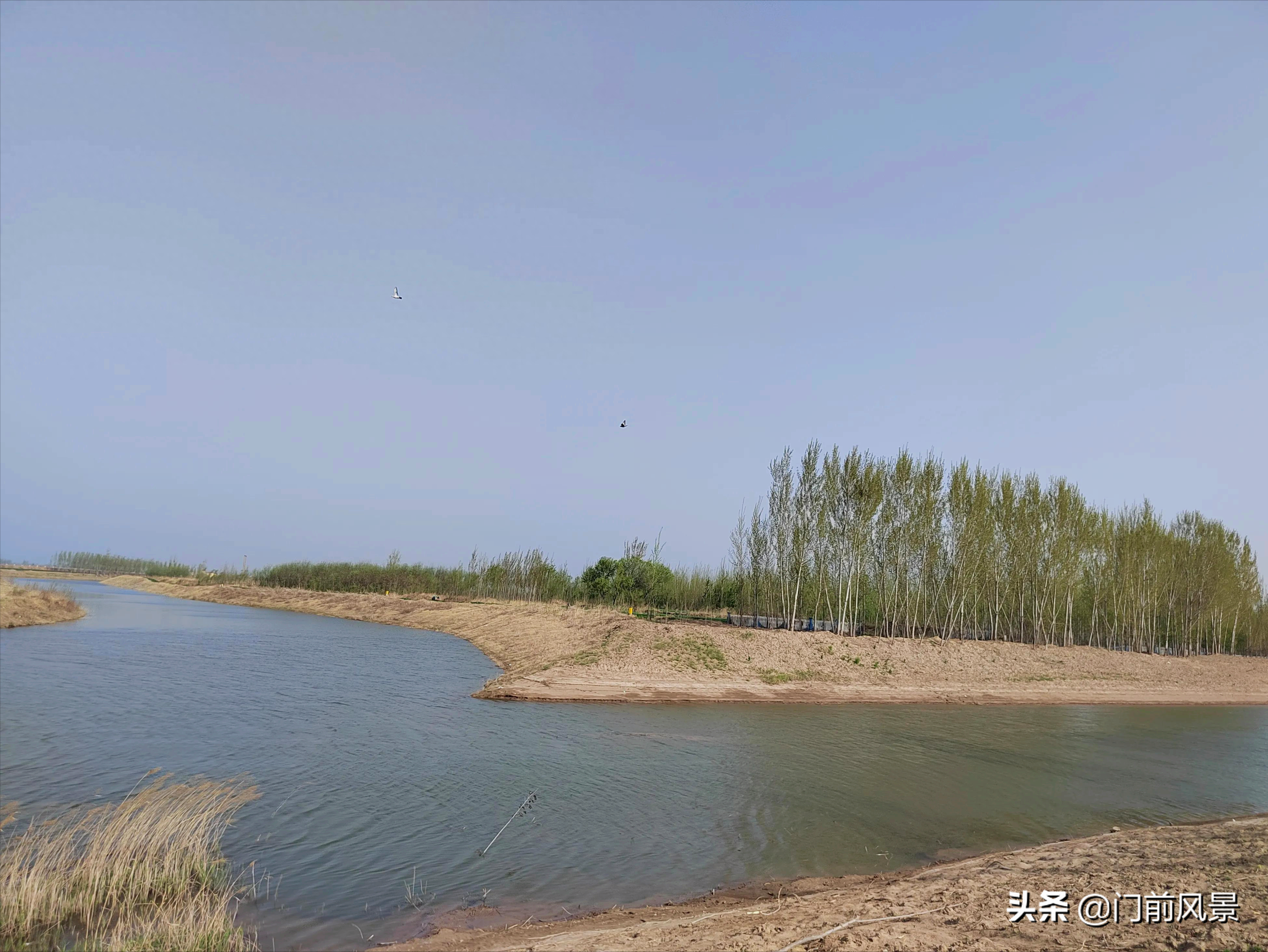 近处有风景，何须去远游(图14)