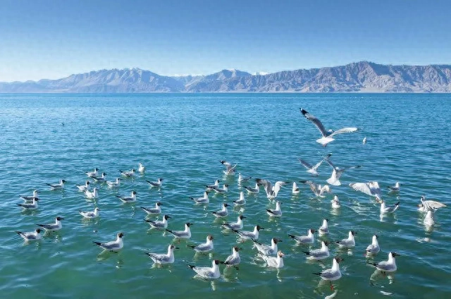 勇于追求梦想，做自己(图1)